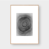  TREE RINGS 02 