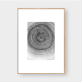  TREE RINGS 03 