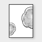  TREE RINGS 04 