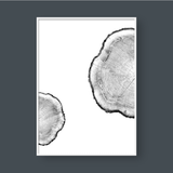  TREE RINGS 04 