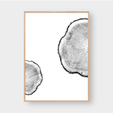  TREE RINGS 04 
