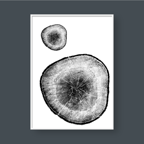 TREE RINGS 05 