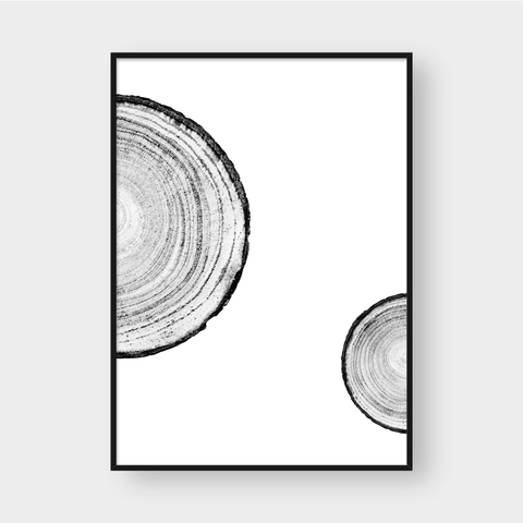  TREE RINGS 06 