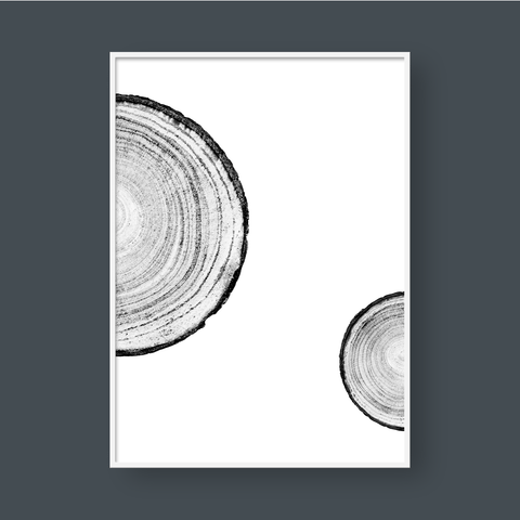  TREE RINGS 06 