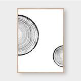  TREE RINGS 06 