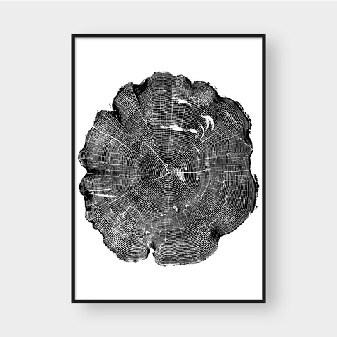  TREE RINGS 07 