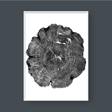  TREE RINGS 07 