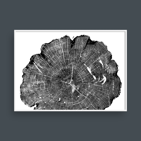  TREE RINGS 08 