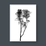  TREE SILLHOUETTE NO.1 