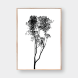  TREE SILLHOUETTE NO.1 