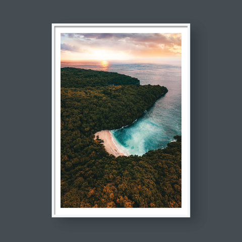  TROPICAL PARADISE 