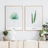  TROPICAL SET 03 