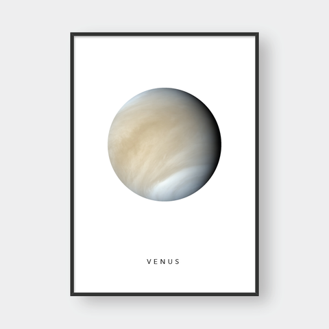  VENUS 