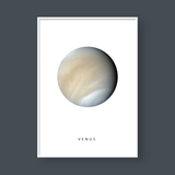  VENUS 