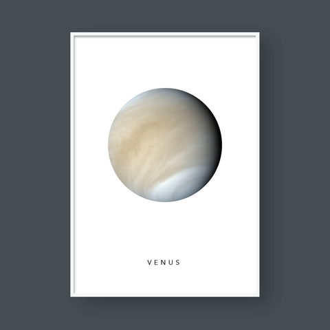  VENUS 