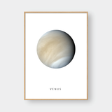  VENUS 
