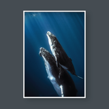  THE BLUE SET NO.03 