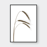  WHEAT BUNDLES SET 