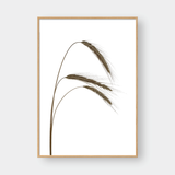  WHEAT BUNDLES SET 