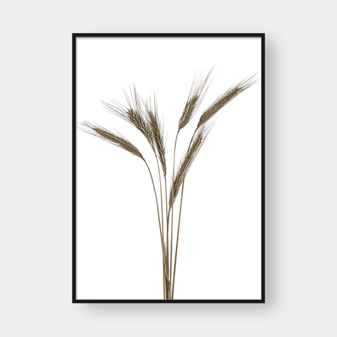  WHEAT BUNDLE NO.2 