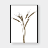  WHEAT BUNDLES SET 