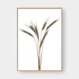  WHEAT BUNDLES SET 