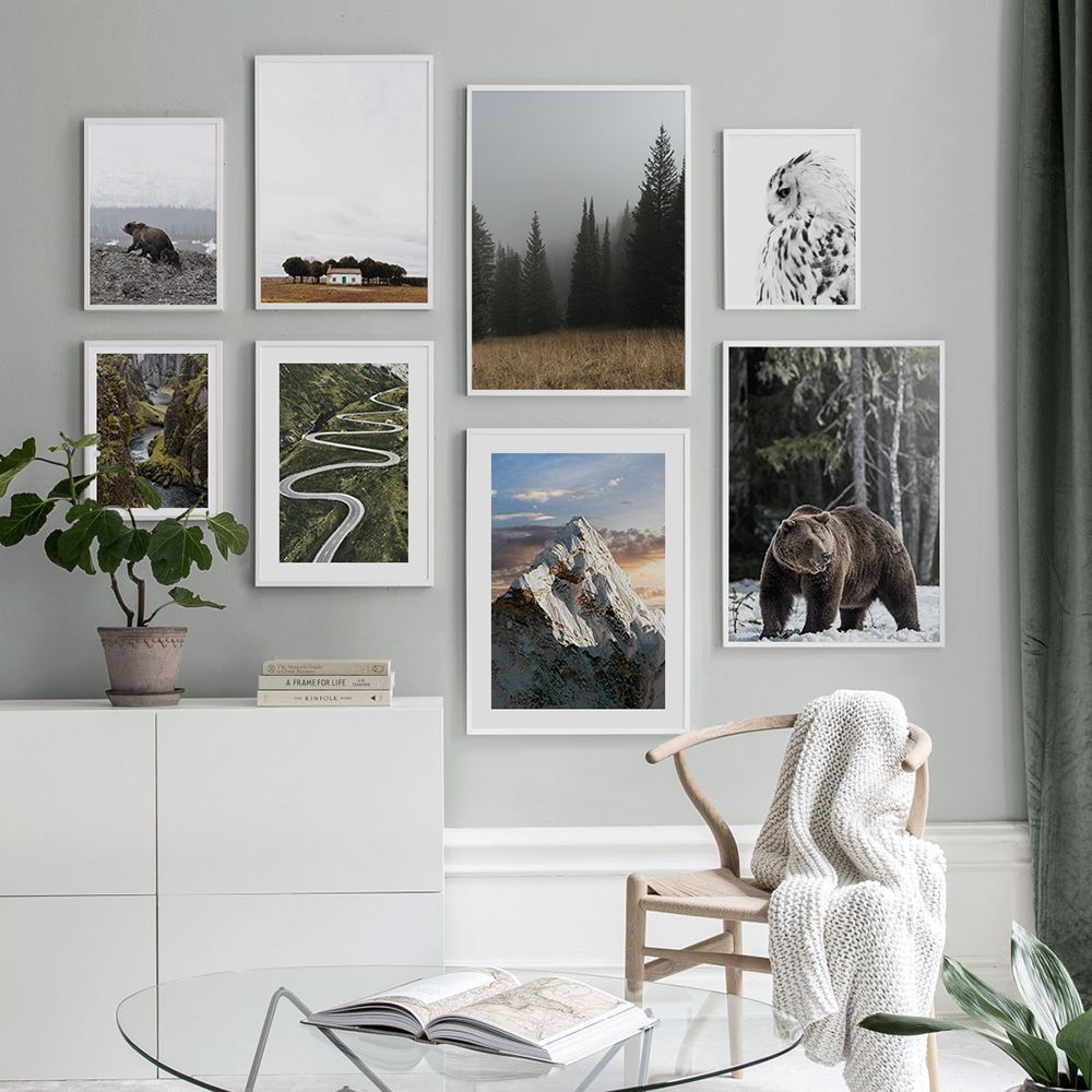  WILDERNESS SET 04 