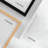  (LIMITED EDITION) SAPA - GICLÉE PRINT 