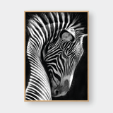  ZEBRA BLACK & WHITE 