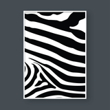  ZEBRA STRIPE 