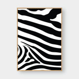  ZEBRA STRIPE 