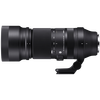 Sigma 100-400mm F5-6.3 DG Dn for E-Mount