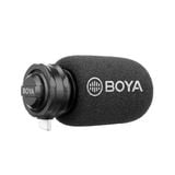  BOYA BY  DM100 