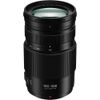  Panasonic 100-300mm F4-5.6 II OIS 