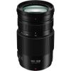 Panasonic 100-300mm F4-5.6 II OIS