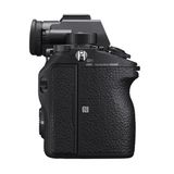  Sony A9 Body + 200-600 F/5.6-6.3 G 