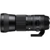 Sigma 150-600mm F5-6.3 DG OS HSM for Nikon