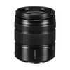 Panasonic Lumix G Vario 45-150mm f/4-5.6