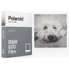 Film Instant Polaroid Black & White 600 ( 006003 )