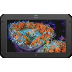 Màn Hình Atomos Sumo 19SE