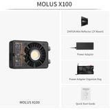  Đèn Led Zhiyun MOLUS X100 Bi-Color 
