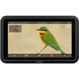  Màn hình Atomos Shinobi II 5.2" HDMI HDR Monitor 