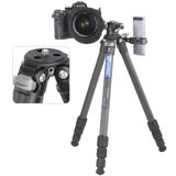  Chân máy ảnh Tripod Leofoto Mr.Y - LY-224C+LH-25R 