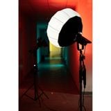  Nanlite Lantern Softbox LT 65 ( LT65 65cm ) 