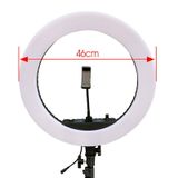  Led Soft Ring Light HQ 18N có điều khiển từ xa 