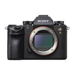  Sony A9 Body + 200-600 F/5.6-6.3 G 