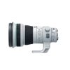 Canon EF 400mm f/4 DO IS II USM ( LBM )