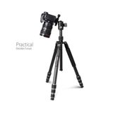  Chân Máy Ảnh G55C+G0Series 4-Section Foldable Carbon Fiber Lightweight Twist Lock Camera Photo Tripod – Chính Hãng KINGJOY 