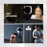 Đèn Led NEEWER PL81 LIGHTING 