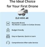  Flycam DJI Mini 4K 